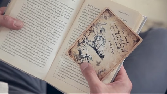 Презентация новой коллекции Espocada Ла-Манш/Espocada «La Manche»  от День Трендов/Trend-Day 
